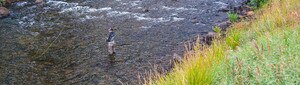 Guided Wade Fly Fishing Trips